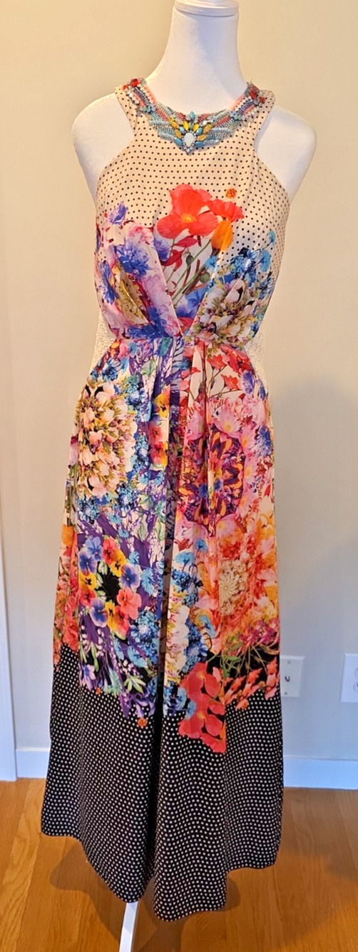 Anthropologie Ranna Gill Fairy Bling Dopamine Floral Polka Dot Maxi Dress Sz 6